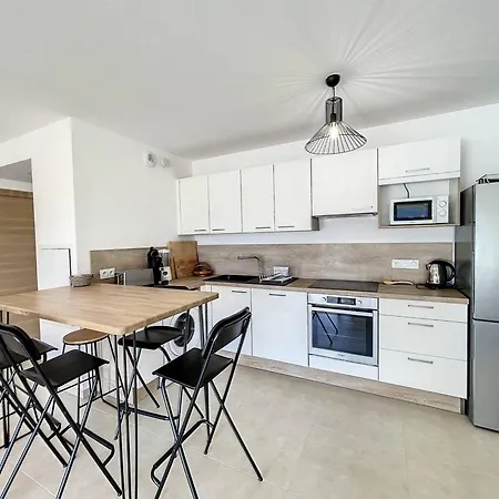 T3 Moderne Avec Grande Terrasse Et Cuisine Equipee - Fr-1-719-20 Appartamento *